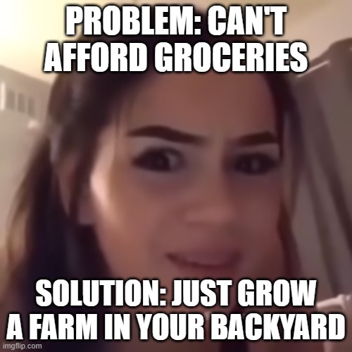 PROBLEM: CAN'T AFFORD GROCERIES; SOLUTION: JUST GROW A FARM IN YOUR BACKYARD | PROBLEM: CAN'T AFFORD GROCERIES; SOLUTION: JUST GROW A FARM IN YOUR BACKYARD | image tagged in if you're homeless just buy a house,illogical,logic,inflation,food memes,farm | made w/ Imgflip meme maker