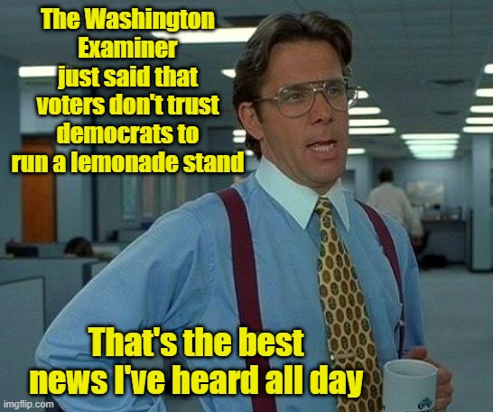 They'd pee in it and call it vitamin rich | The Washington Examiner just said that voters don't trust democrats to run a lemonade stand; That's the best news I've heard all day | image tagged in memes,that would be great,democrats,leftists,lemonade | made w/ Imgflip meme maker