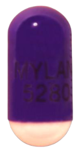 Mylan 5280 Blank Meme Template