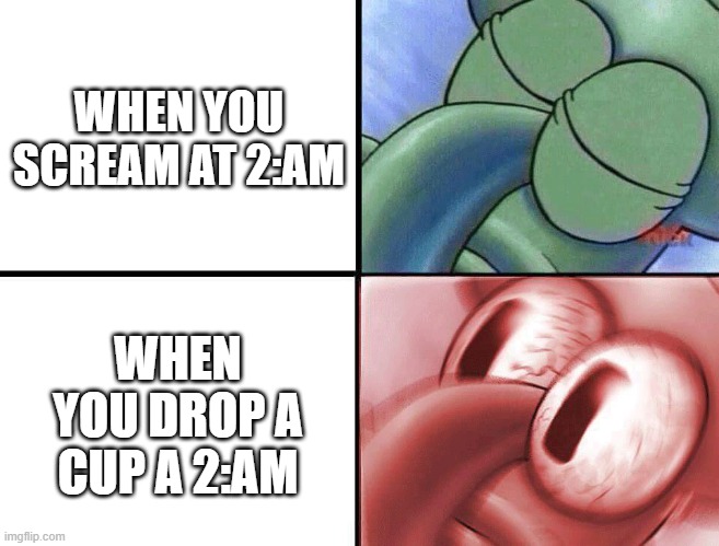 He's Cooked | WHEN YOU SCREAM AT 2:AM; WHEN YOU DROP A CUP A 2:AM | image tagged in sleeping squidward | made w/ Imgflip meme maker