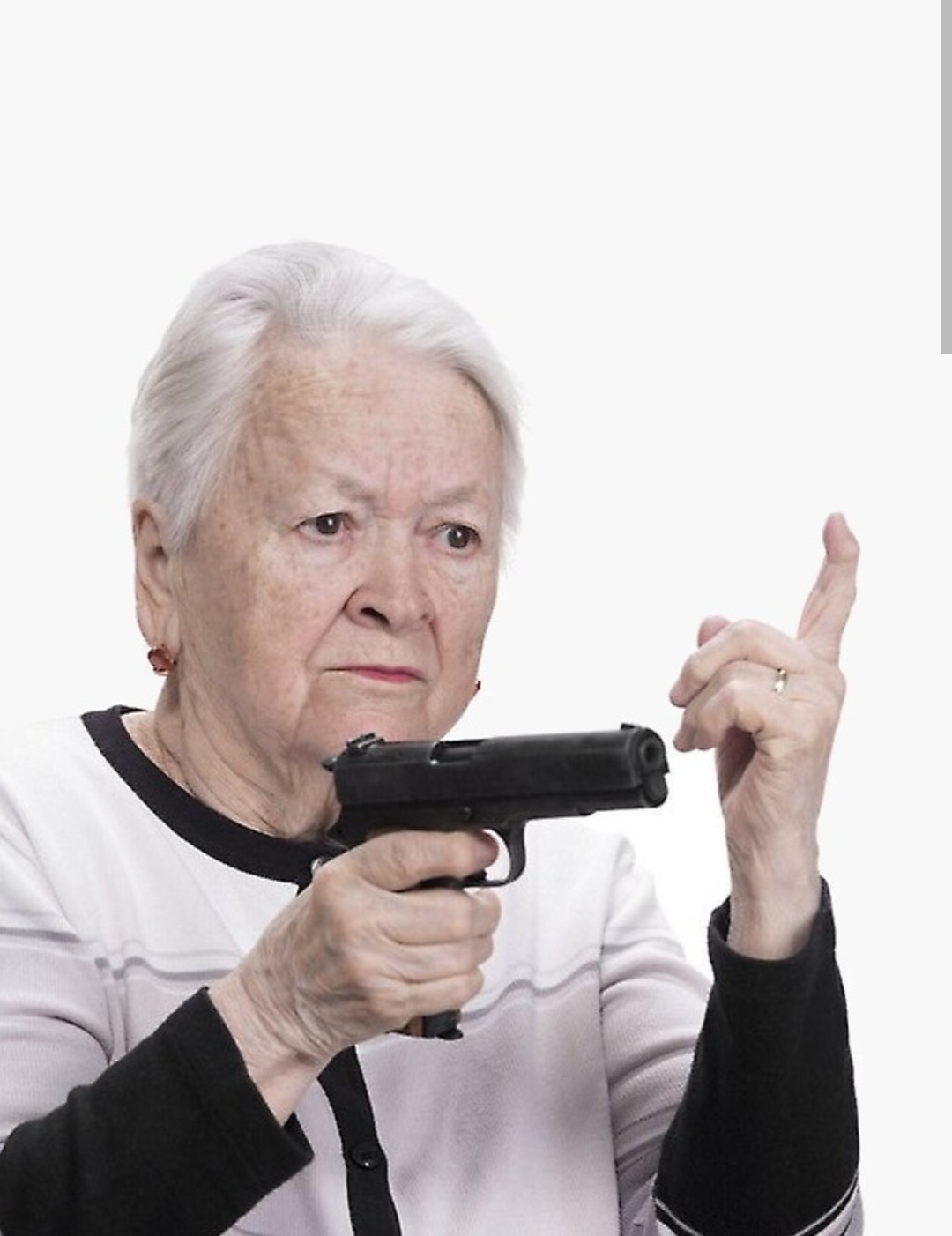 Npc grandma Blank Meme Template