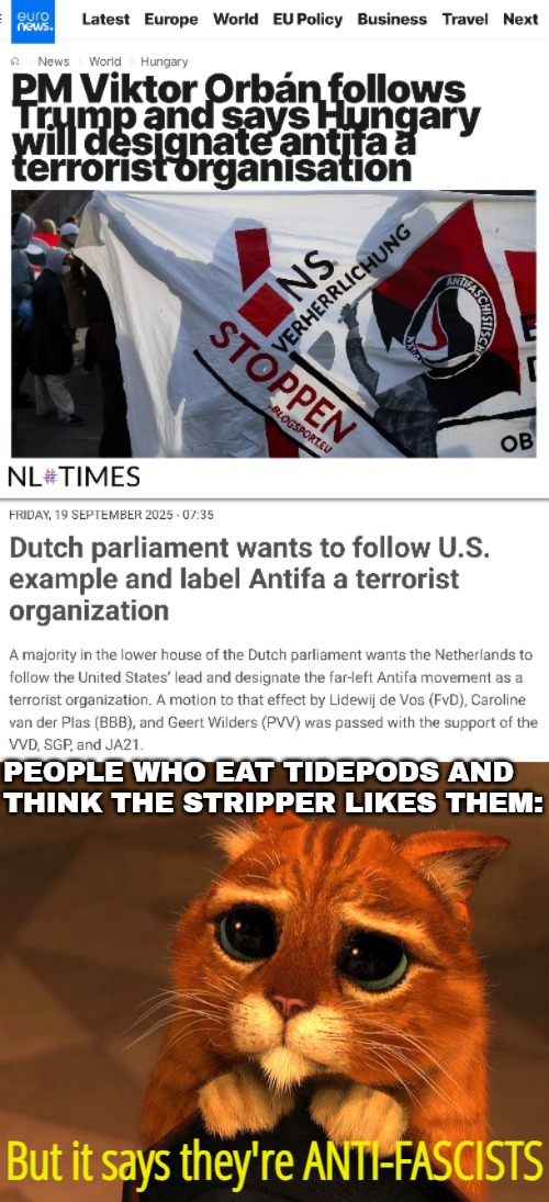 A left-wing government will defend them always, as their violence serves its purpose in the political game | PEOPLE WHO EAT TIDEPODS AND THINK THE STRIPPER LIKES THEM:; But it says they're ANTI-FASCISTS | image tagged in shrek cat cute,antifa,funny,politics | made w/ Imgflip meme maker
