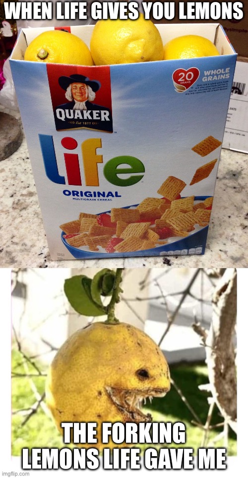 Lemons | WHEN LIFE GIVES YOU LEMONS; THE FORKING LEMONS LIFE GAVE ME | image tagged in when life gives you lemons,life,lemons,cursed | made w/ Imgflip meme maker