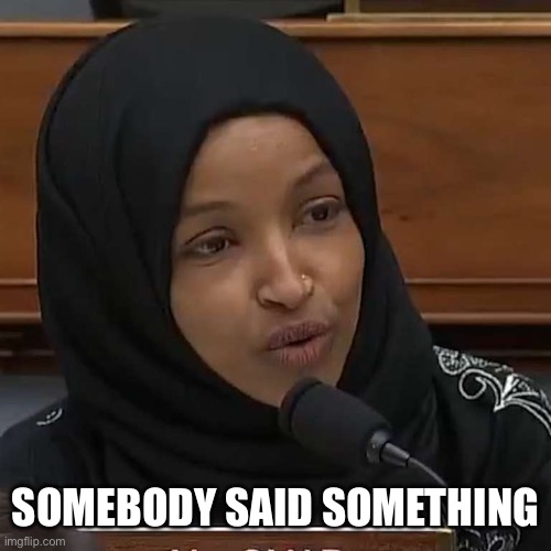 Ilhan Omar | SOMEBODY SAID SOMETHING | image tagged in ilhan omar | made w/ Imgflip meme maker