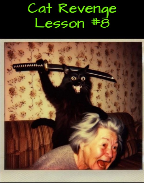 Revenge Lesson #8 | Cat Revenge Lesson #8 | image tagged in cats,funny cats,revenge,evil overlord rules,life lessons,off comes your head | made w/ Imgflip meme maker