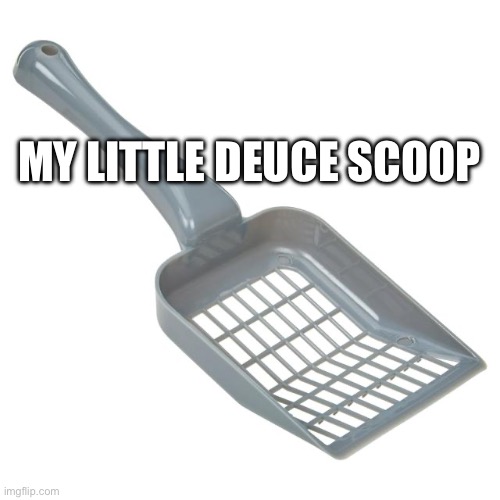 Little Deuce Scoop | MY LITTLE DEUCE SCOOP | image tagged in little,deuce,scoop,cat litter scoop | made w/ Imgflip meme maker