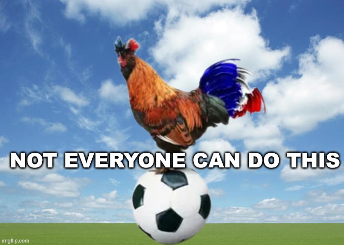 Cock and Ball Show | NOT EVERYONE CAN DO THIS | image tagged in rooster,balls,it's showtime,meanwhile on imgflip,your argument is invalid,dank memes | made w/ Imgflip meme maker