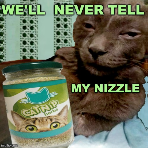 Shit Poster 4 Lyfe | WE'LL  NEVER TELL MY NIZZLE | image tagged in shit poster 4 lyfe | made w/ Imgflip meme maker