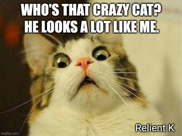 Relient K - Cat | HE LOOKS A LOT LIKE ME. WHO'S THAT CRAZY CAT? Relient K | image tagged in memes,scared cat | made w/ Imgflip meme maker