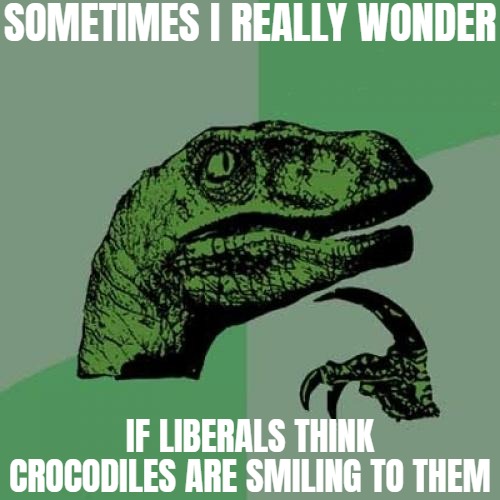 Philosoraptor | SOMETIMES I REALLY WONDER; IF LIBERALS THINK CROCODILES ARE SMILING TO THEM | image tagged in memes,philosoraptor,liberals,funny,sarcasm | made w/ Imgflip meme maker