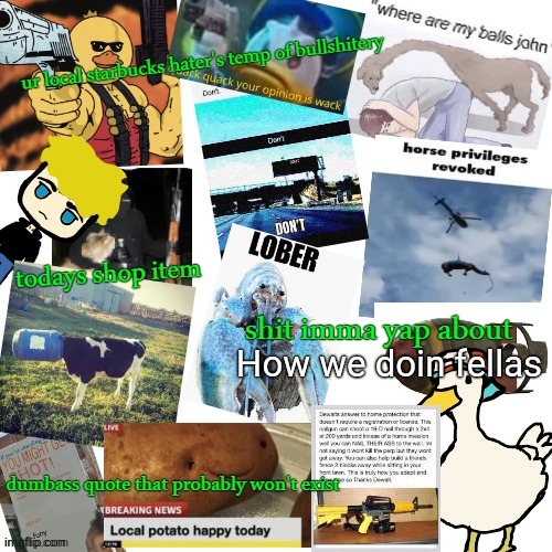 temp of bullshitery | How we doin fellas | image tagged in temp of bullshitery | made w/ Imgflip meme maker