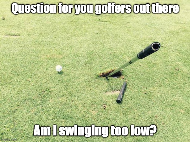 Swing Low | Question for you golfers out there; Am I swinging too low? | image tagged in golf,question,swing low,pro,advice | made w/ Imgflip meme maker