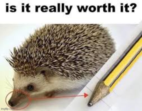 stop killing hedgehogs to make pencils | image tagged in hedgehog,pencil,funny memes,is it really worth it,shitpost | made w/ Imgflip meme maker