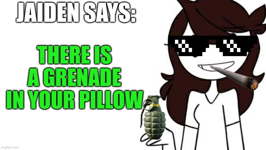 There is a grenade | JAIDEN SAYS:; THERE IS A GRENADE IN YOUR PILLOW | image tagged in jaiden's wise words | made w/ Imgflip meme maker