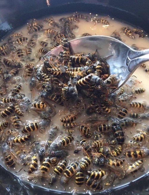 Honey Bee Tea | image tagged in honey,cursed images,bees,creepy,nightmare fuel,ouch | made w/ Imgflip meme maker