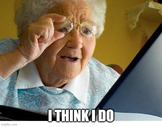 old lady at computer | I THINK I DO | image tagged in old lady at computer | made w/ Imgflip meme maker