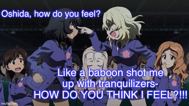 Oshida After Recovery | Oshida, how do you feel? Like a baboon shot me up with tranquilizers- HOW DO YOU THINK I FEEL?!!! | image tagged in girls und panzer,venture bros,girls und venture,parody,meme,reference | made w/ Imgflip meme maker