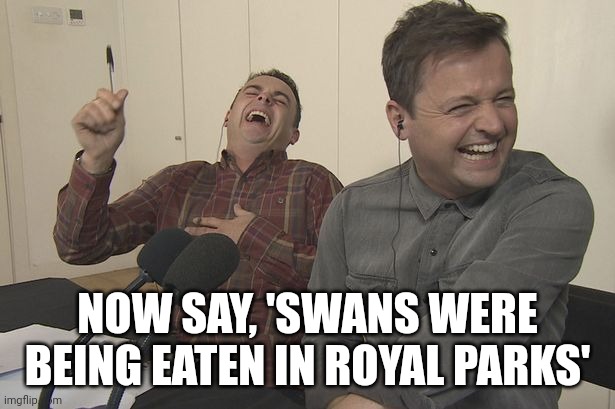 Ant and Dec. Now say, 'swans were being eaten in Royal Parks' | NOW SAY, 'SWANS WERE BEING EATEN IN ROYAL PARKS' | image tagged in swans were being eaten in royal parks | made w/ Imgflip meme maker