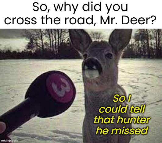 So, why did you cross the road, Mr. Deer? So I could tell that hunter he missed | made w/ Imgflip meme maker