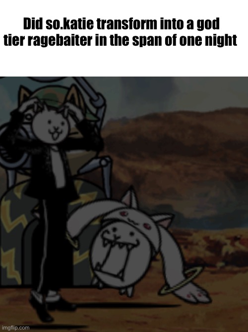 The flabbergasted cats | Did so.katie transform into a god tier ragebaiter in the span of one night | image tagged in the flabbergasted cats | made w/ Imgflip meme maker