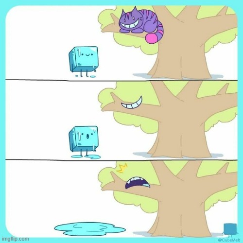 image tagged in ice cube,cheshire cat,invisible,melting,water,puddle | made w/ Imgflip meme maker