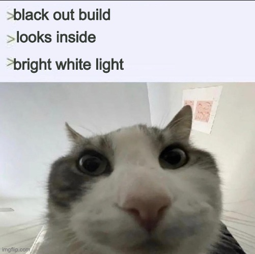 Cat looks inside | black out build; looks inside; bright white light | image tagged in cat looks inside | made w/ Imgflip meme maker