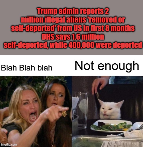 Woman Yelling At Cat | Trump admin reports 2 million illegal aliens 'removed or self-deported' from US in first 8 months
DHS says 1.6 million self-deported, while 400,000 were deported; Not enough; Blah Blah blah | image tagged in memes,woman yelling at cat | made w/ Imgflip meme maker