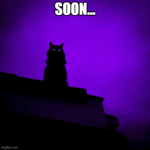 Soon... | SOON... | image tagged in cat,humour,vengence,silly | made w/ Imgflip meme maker