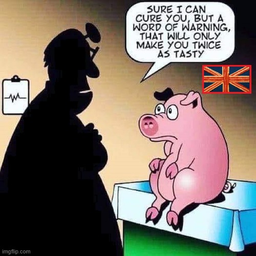 Scared Pig told me Bacon's only food that tastes great in U.K. | image tagged in vince vance,pigs,doctor,bacon,cartoon,cured | made w/ Imgflip meme maker