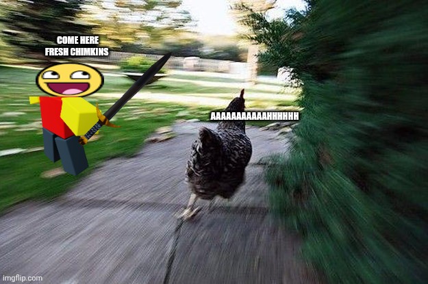 Chicken Running | COME HERE FRESH CHIMKINS AAAAAAAAAAAHHHHHH | image tagged in chicken running | made w/ Imgflip meme maker