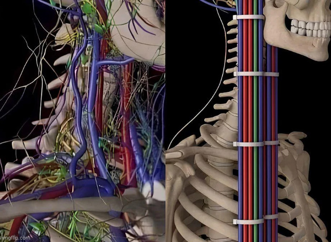 human 2 | made w/ Imgflip meme maker