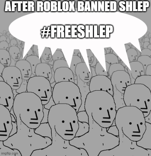 npc-crowd | AFTER ROBLOX BANNED SHLEP; #FREESHLEP | image tagged in npc-crowd | made w/ Imgflip meme maker