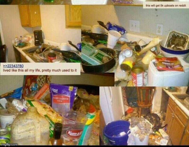 I don’t know about you guys but imagine this is how toady and Masq’s supposed house looks like | image tagged in memes,shitpost,crustanon,4chan,house | made w/ Imgflip meme maker