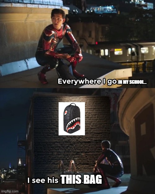 this is basically the Labubu of schoolbags | IN MY SCHOOL... THIS BAG | image tagged in everywhere i go i see his face,sprayground | made w/ Imgflip meme maker