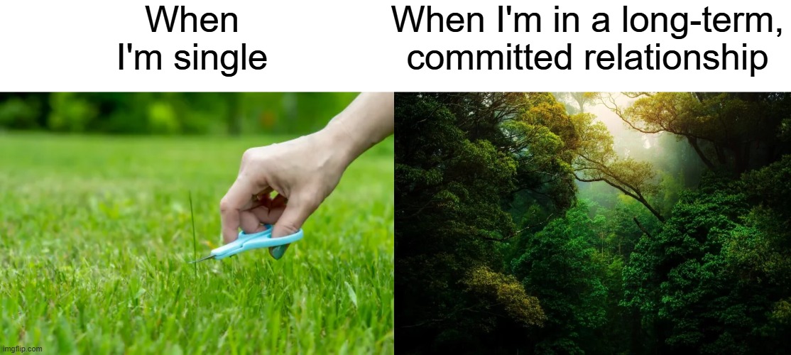 Only guys will get this | When I'm single; When I'm in a long-term, committed relationship | image tagged in memes,guys,men,boys,shave | made w/ Imgflip meme maker
