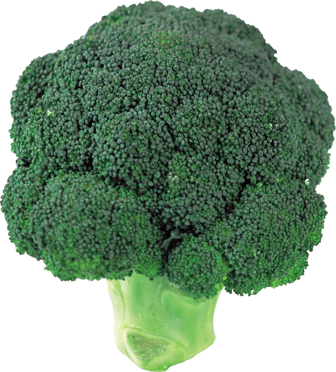 broccoly Blank Meme Template