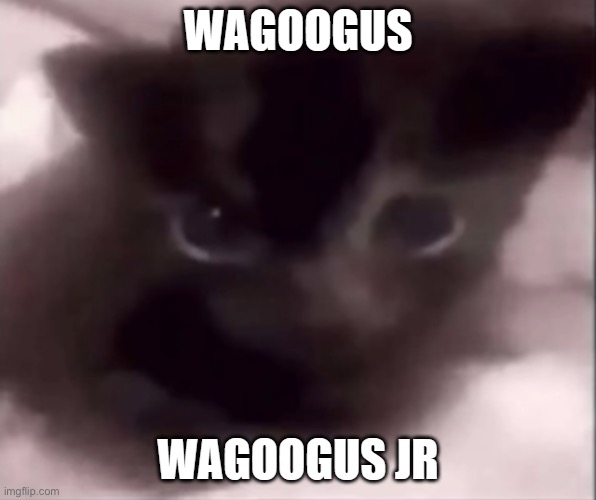 wagoogus jr | image tagged in wagoogus jr | made w/ Imgflip meme maker