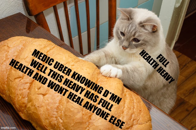 Tf2 medics really be like this | FULL HEALTH HEAVY; MEDIC UBER KNOWING D*MN WELL THIS HEAVY HAS FULL HEALTH AND WONT HEAL ANYONE ELSE | image tagged in cat with bread,tf2,the medic tf2,pocketing,hogging,stop reading the tags | made w/ Imgflip meme maker