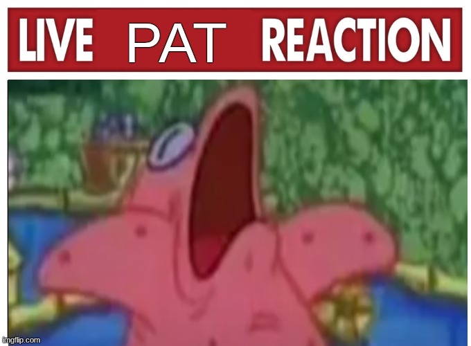 Live reaction | PAT | image tagged in live reaction | made w/ Imgflip meme maker