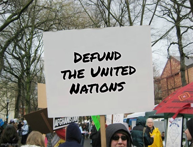 Blank protest sign | Defund the United Nations | image tagged in blank protest sign | made w/ Imgflip meme maker