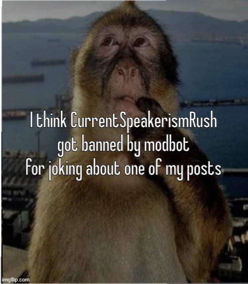 thinking monkey | I think CurrentSpeakerismRush got banned by modbot for joking about one of my posts | image tagged in thinking monkey | made w/ Imgflip meme maker