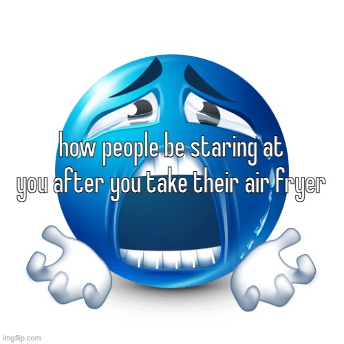 PLEASE | how people be staring at you after you take their air fryer | image tagged in please | made w/ Imgflip meme maker