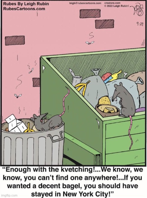 Rubes | image tagged in comics,rubes,rats,dumpster,bagel,kvetching | made w/ Imgflip meme maker
