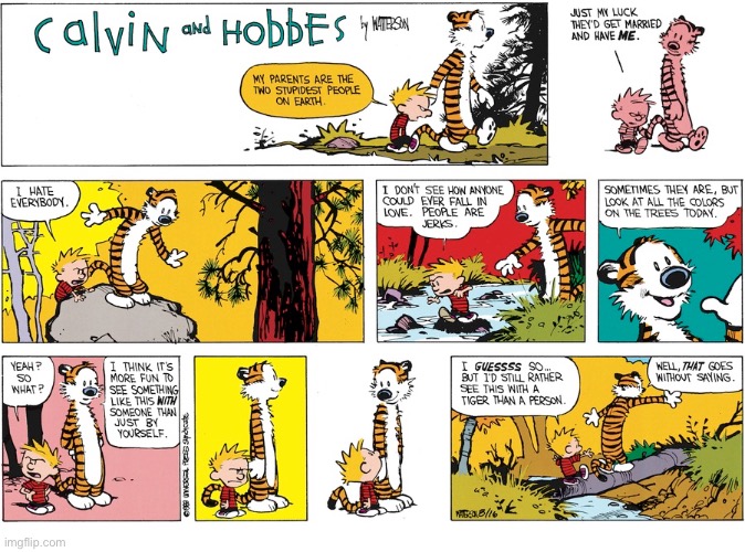 Who needs people when you have a tiger for a best friend? | image tagged in calvin and hobbes,comics,in the woods,people are jerks,tigers are fun | made w/ Imgflip meme maker