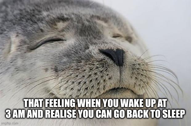 So why aren’t y’all doing that on purpose? | THAT FEELING WHEN YOU WAKE UP AT 3 AM AND REALISE YOU CAN GO BACK TO SLEEP | image tagged in memes,satisfied seal,sleep | made w/ Imgflip meme maker