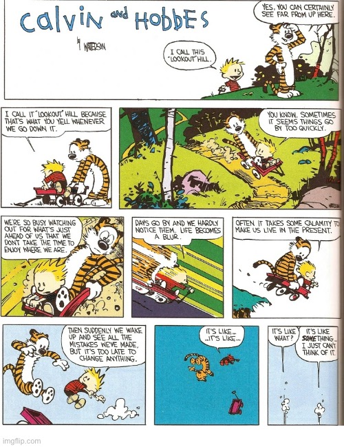 Calvin and Hobbes throw caution to the wind… and themselves! | image tagged in calvin and hobbes,comics,wagon ride,top speed,airborne | made w/ Imgflip meme maker