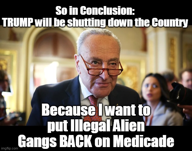 It's almost like the illegals ELECTED THEM | So in Conclusion:
TRUMP will be shutting down the Country; Because I want to put Illegal Alien Gangs BACK on Medicade | image tagged in schumer shut down trump meme | made w/ Imgflip meme maker