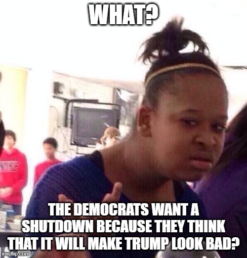 Black Girl Wat Meme | WHAT? THE DEMOCRATS WANT A SHUTDOWN BECAUSE THEY THINK THAT IT WILL MAKE TRUMP LOOK BAD? | image tagged in memes,black girl wat | made w/ Imgflip meme maker