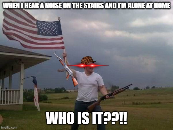 American flag shotgun guy | WHEN I HEAR A NOISE ON THE STAIRS AND I'M ALONE AT HOME; WHO IS IT??!! | image tagged in american flag shotgun guy | made w/ Imgflip meme maker