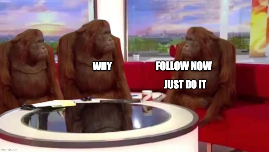 Follow the monkey | FOLLOW NOW; WHY; JUST DO IT | image tagged in where monkey | made w/ Imgflip meme maker